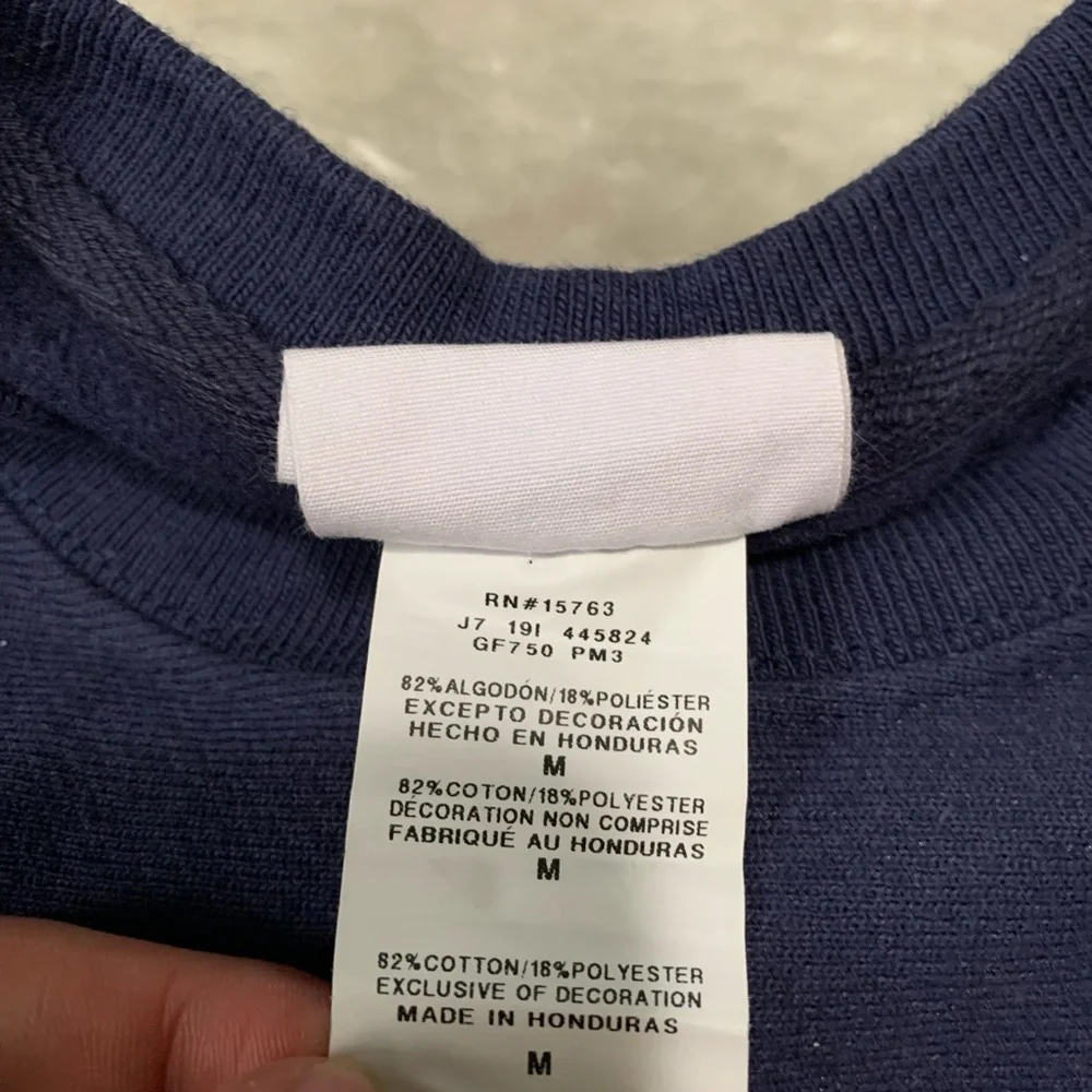 Champion Reverse Weave Womens Blue Y2K Pullover Sweater Size‎ Medium